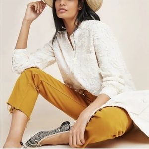 Anthropologie Pilcro Whitney Trapeze Buttondown XS